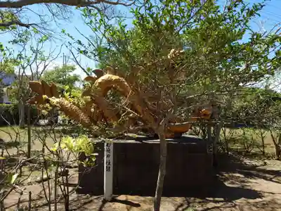 玉崎神社(千葉県)