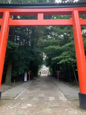 霧島神宮の鳥居
