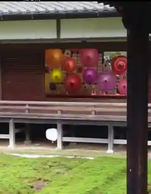 隨心院（随心院）(京都府)