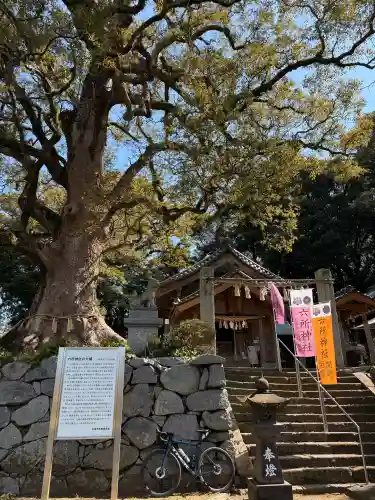 六所神社の{uncategorized: "未分類", other: "その他", undefined: "問題あり", building: "その他建物", grave: "お墓", sacred_gate: "鳥居", guardian: "狛犬", statue: "像", buddha: "仏像", history: "歴史", nature: "自然", garden: "庭園", animal: "動物", pagoda: "塔", temizu: "手水舎", mountain_gate: "山門・神門", sanctuary: "本殿・本堂", subordinate: "末社・摂社", art: "芸術", scenery: "景色", jizo: "地蔵", ema: "絵馬", goshuin: "御朱印", omikuji: "おみくじ", items: "授与品その他", amulet: "お守り", goshuincho: "御朱印帳", eats: "食事", festival: "お祭り", votive_dance: "神楽", shichigosan: "七五三参", wedding: "結婚式", experience: "体験その他", initially: "初詣", around: "周辺", anti_infection: "感染症対策"}
