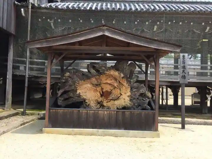 本山専修寺(三重県)