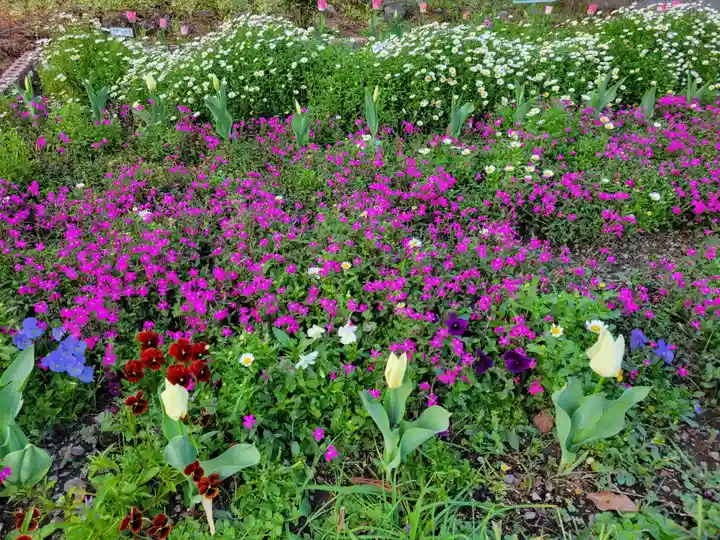 天宮神社の自然
