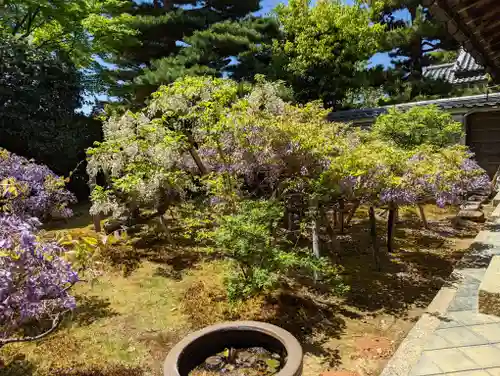 長慶院(京都府)