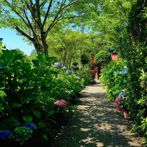 極楽寺(静岡県)