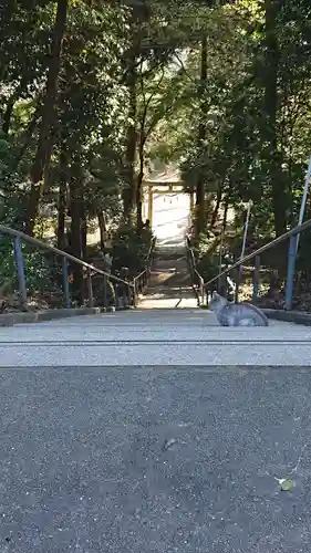 縣主神社の建物その他