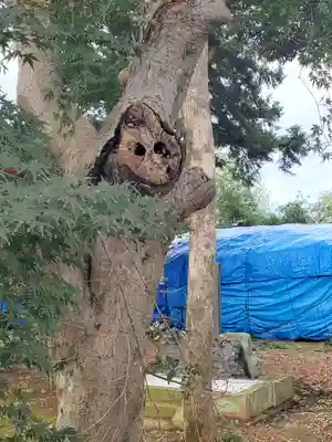 田中霊祠の自然