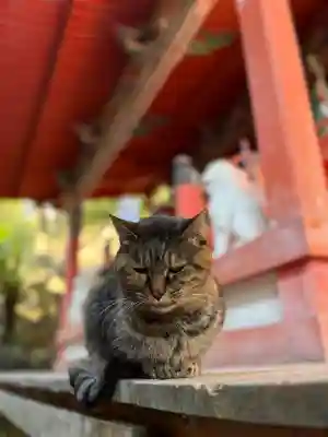 上岩出神社の{uncategorized: "未分類", other: "その他", undefined: "問題あり", building: "その他建物", grave: "お墓", sacred_gate: "鳥居", guardian: "狛犬", statue: "像", buddha: "仏像", history: "歴史", nature: "自然", garden: "庭園", animal: "動物", pagoda: "塔", temizu: "手水舎", mountain_gate: "山門・神門", sanctuary: "本殿・本堂", subordinate: "末社・摂社", art: "芸術", scenery: "景色", jizo: "地蔵", ema: "絵馬", goshuin: "御朱印", omikuji: "おみくじ", items: "授与品その他", amulet: "お守り", goshuincho: "御朱印帳", eats: "食事", festival: "お祭り", votive_dance: "神楽", shichigosan: "七五三参", wedding: "結婚式", experience: "体験その他", initially: "初詣", around: "周辺", anti_infection: "感染症対策"}