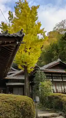 安養寺(京都府)
