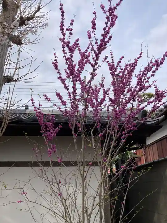 本覚寺(神奈川県)