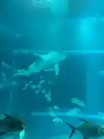 豊國神社の{uncategorized: "未分類", other: "その他", undefined: "問題あり", building: "その他建物", grave: "お墓", sacred_gate: "鳥居", guardian: "狛犬", statue: "像", buddha: "仏像", history: "歴史", nature: "自然", garden: "庭園", animal: "動物", pagoda: "塔", temizu: "手水舎", mountain_gate: "山門・神門", sanctuary: "本殿・本堂", subordinate: "末社・摂社", art: "芸術", scenery: "景色", jizo: "地蔵", ema: "絵馬", goshuin: "御朱印", omikuji: "おみくじ", items: "授与品その他", amulet: "お守り", goshuincho: "御朱印帳", eats: "食事", festival: "お祭り", votive_dance: "神楽", shichigosan: "七五三参", wedding: "結婚式", experience: "体験その他", initially: "初詣", around: "周辺", anti_infection: "感染症対策"}