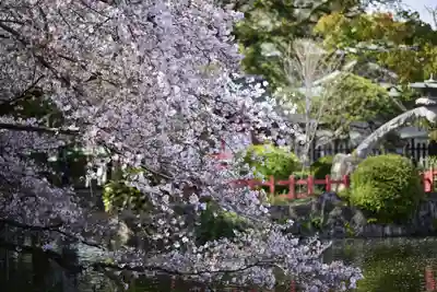 三嶋大社(静岡県)