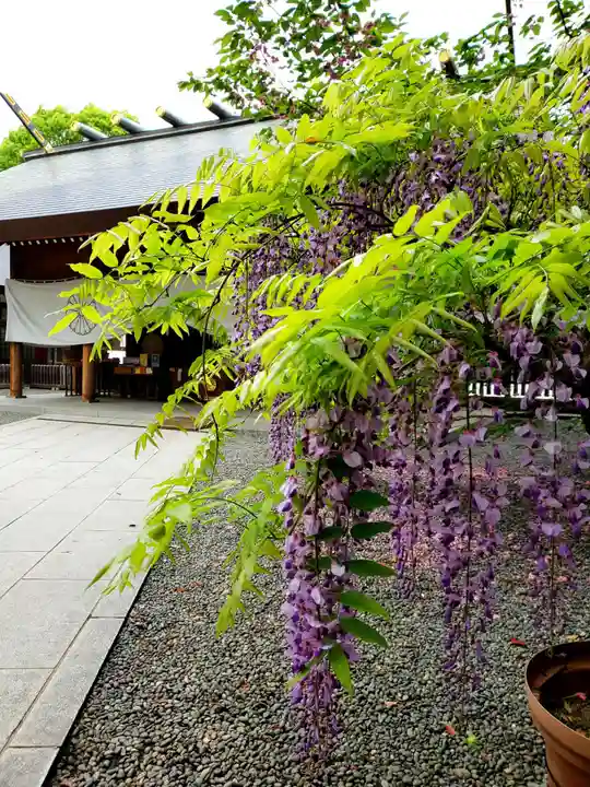 阿佐ヶ谷神明宮(東京都)