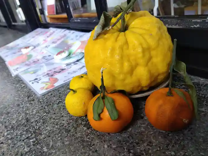 福井神社(福井県)