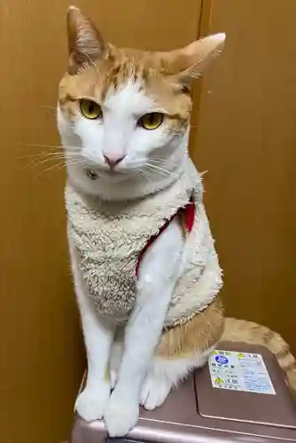 感田神社の動物