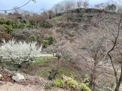 明王寺(岡山県)