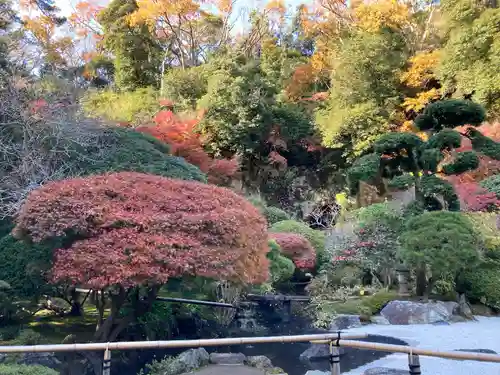 報国寺の庭園