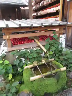 市比賣神社の手水舎