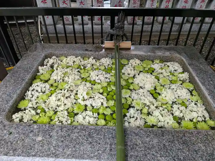 高円寺氷川神社(東京都)