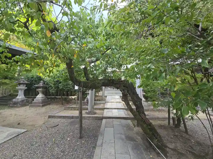 北野天満宮(京都府)