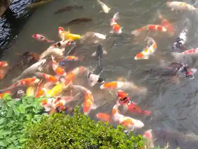 朝倉神社(福井県)