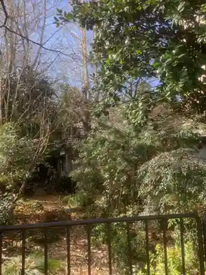 光蓮寺の本殿・本堂