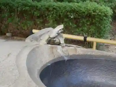 伊弉諾神宮の狛犬