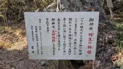 出羽神社の自然