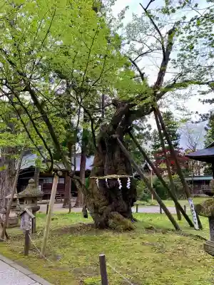蠶養國神社(福島県)