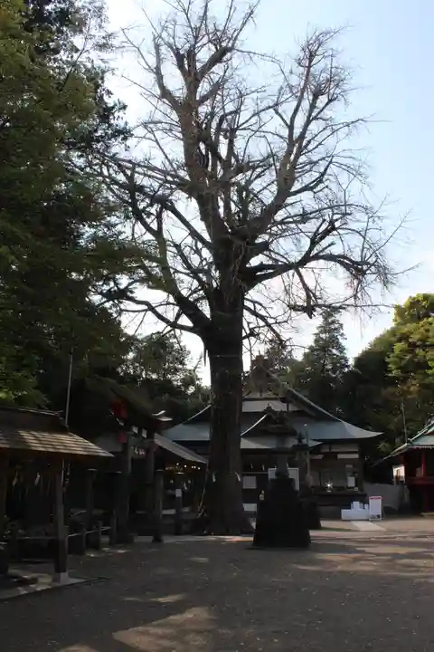 下総国三山 二宮神社(千葉県)