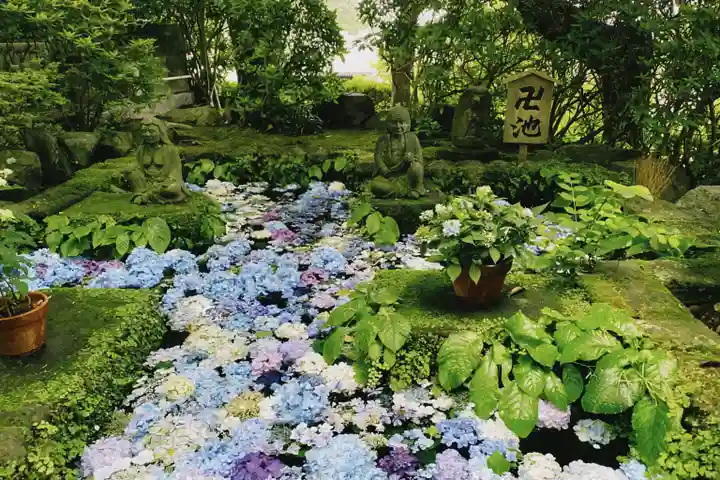 長谷寺(神奈川県)