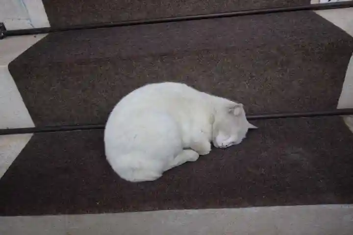 今戸神社(東京都)