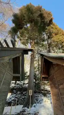 高宮神社(北海道)