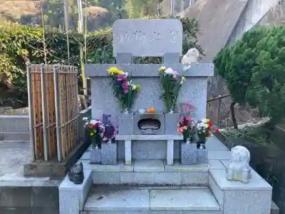 人とペットのお寺仙光院(神奈川県)