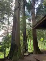 熊野神社の自然