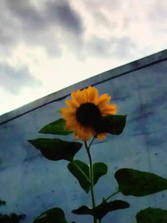 田端神社(東京都)