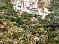 御崎神社の建物その他