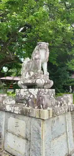 盛岡八幡宮の狛犬