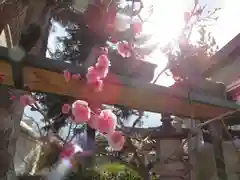 菅原天満宮（菅原神社）の自然