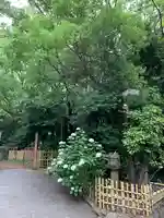 生田神社(兵庫県)