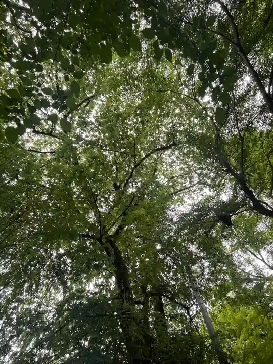 竜神宮(栃木県)