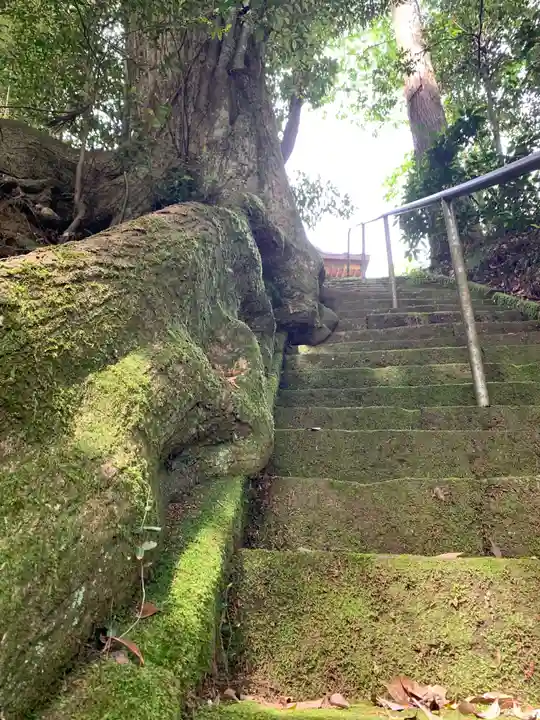 諏訪神社の自然