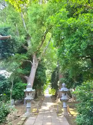 一山神社(埼玉県)