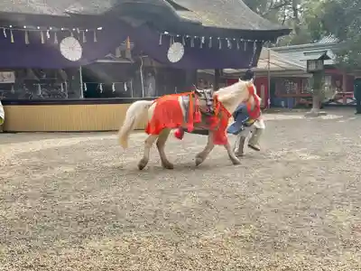 住吉大社(大阪府)