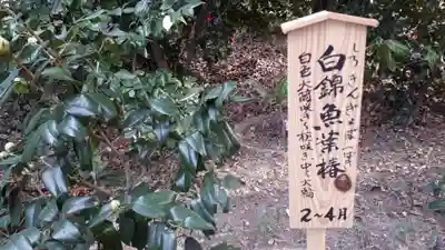 城南宮(京都府)