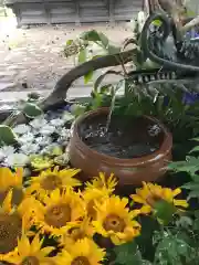 札幌護國神社の手水