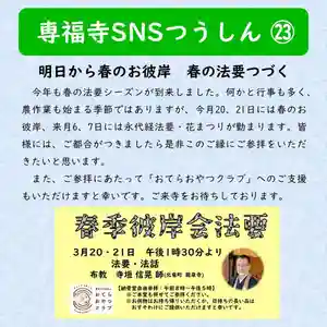 雨竜 専福寺の体験その他(2024年03月16日(土) 19時17分07秒投稿)