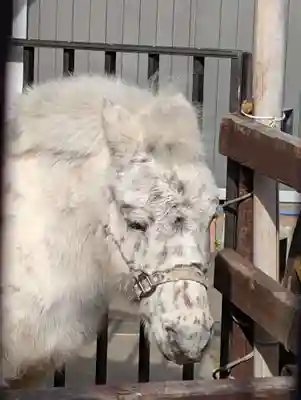 五方山熊野神社(東京都)