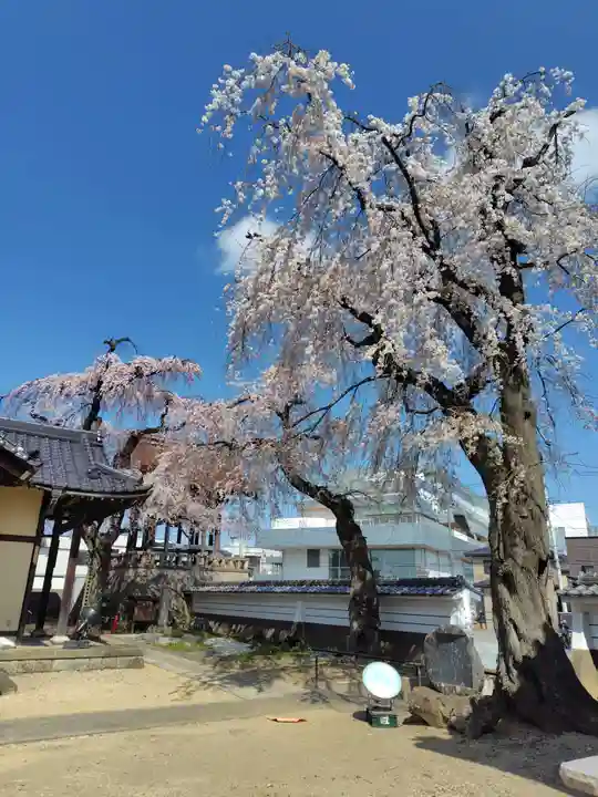 長松院(福島県)