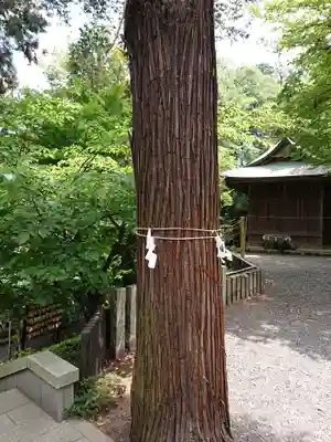中氷川神社のその他建物