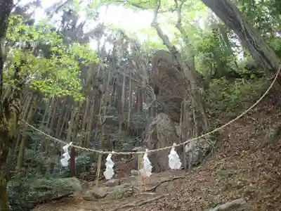 本宮神社(西寒多神社奥宮)の自然